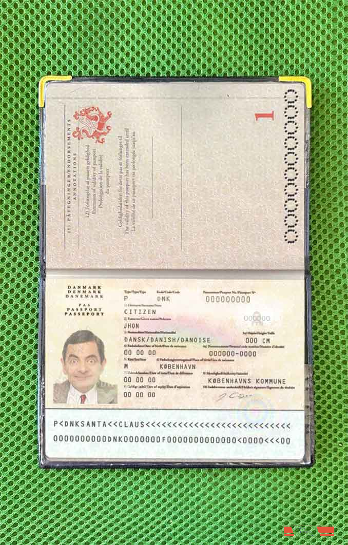 Denmark passport photo look PSD template